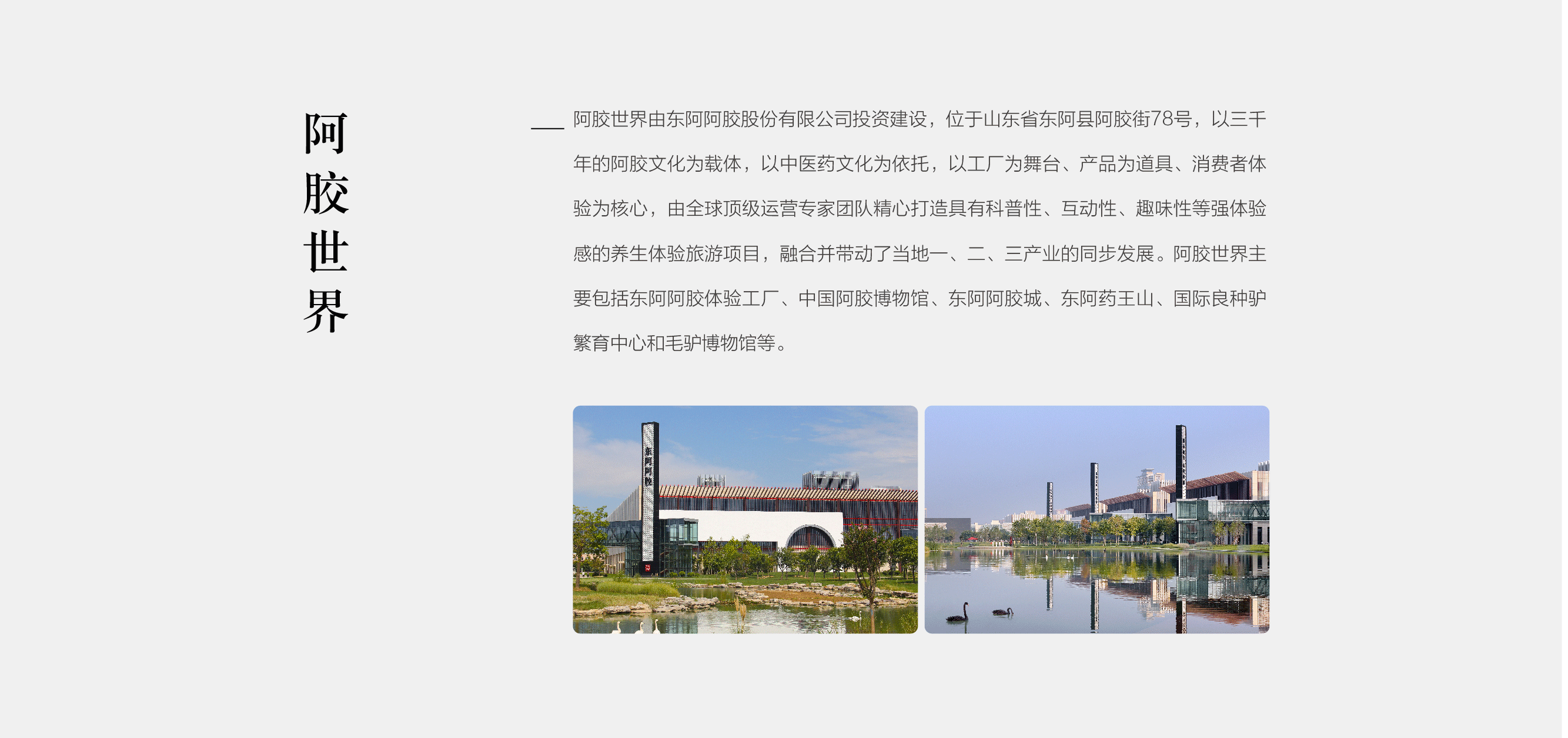 东阿拉斯维加斯9888-拉斯维加斯9888世界